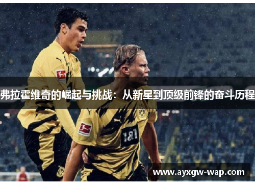 弗拉霍维奇的崛起与挑战：从新星到顶级前锋的奋斗历程