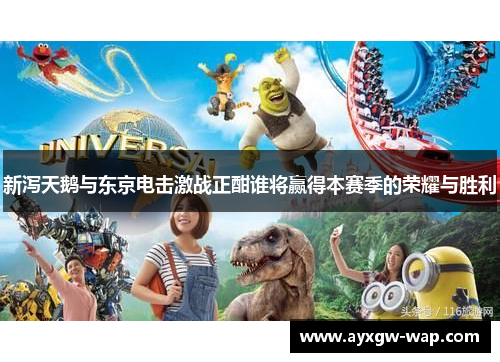 新泻天鹅与东京电击激战正酣谁将赢得本赛季的荣耀与胜利